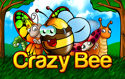 Crazy Bee