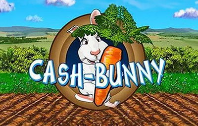 Cash Bunny